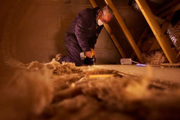 Types of Insulation We Offer in MT
